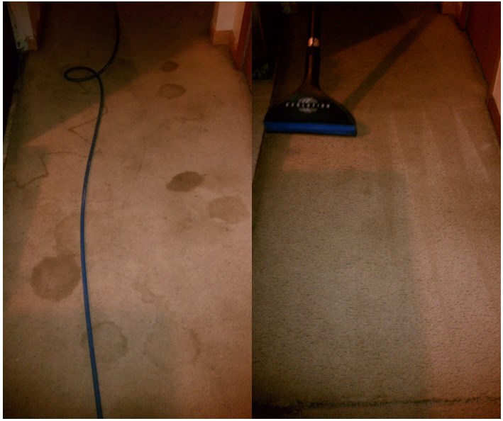 Atlanta, GA Carpet Cleaning Services ServiceMaster Clean